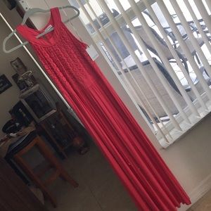 NWT coral knit CK original!